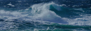 ProAssign ApS - waves, habor